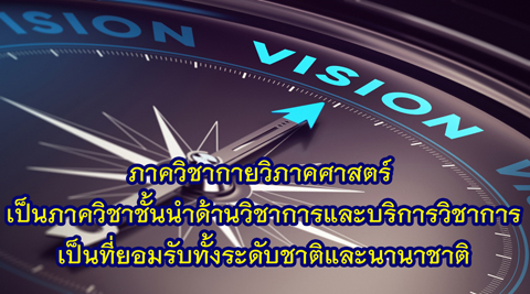 vision60