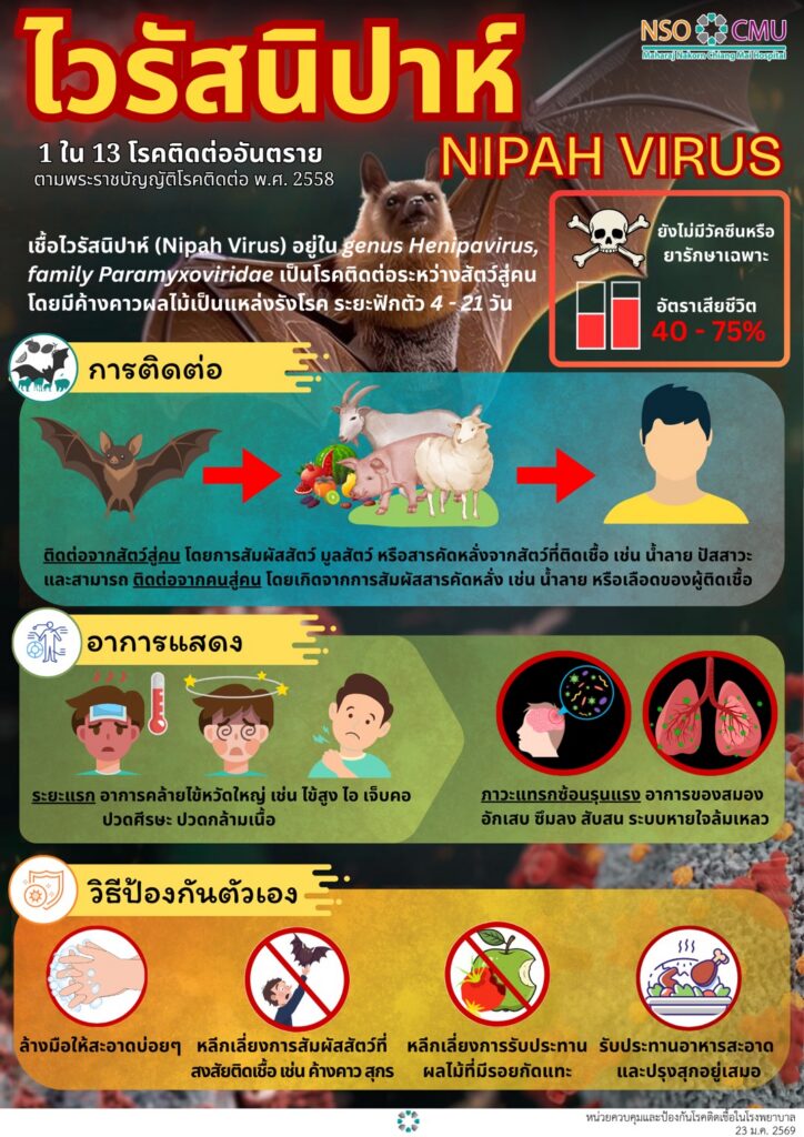 🚨 รู้ไว้ ไม่ตื่นตระหนก แต่ไม่ประมาท!“โรคติดเชื้อไวรัสนิปาห์ (Nipah virus)”