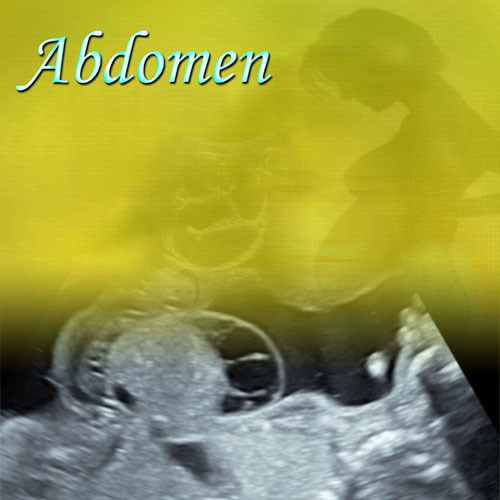 Fetal Abdomen Anomalies