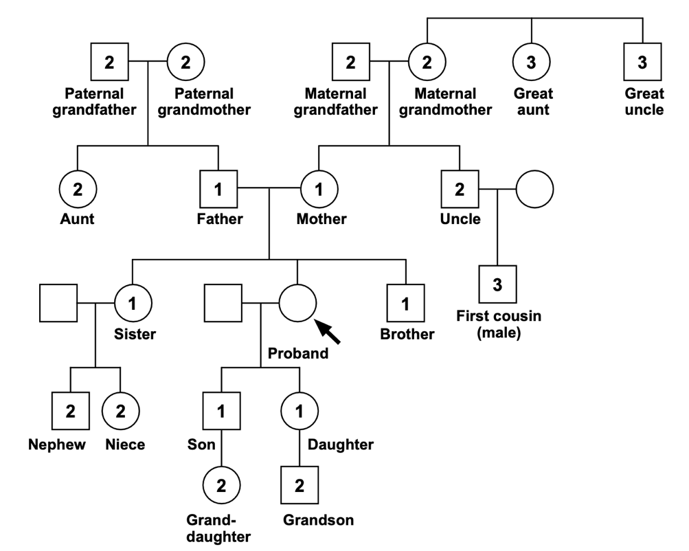 A diagram of a family tree Description automatically generated