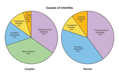 A diagram showing the causes of infertility Description automatically generated