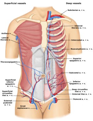 Diagram Description automatically generated