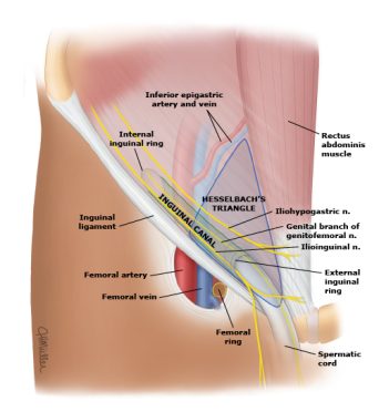 Diagram Description automatically generated