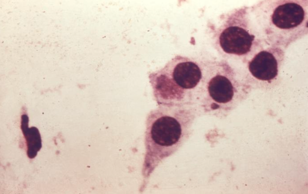 A close-up of a microscope Description automatically generated