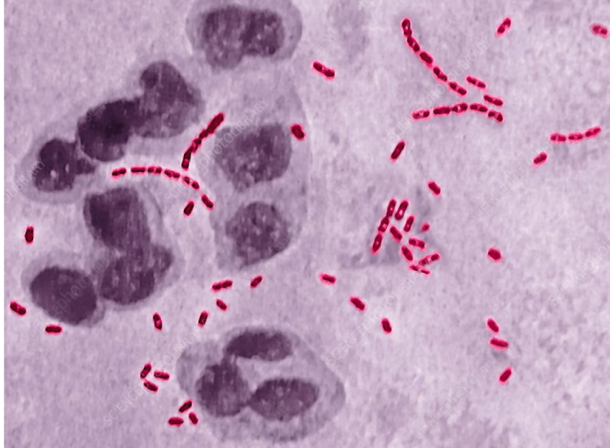 A close-up of a microscope Description automatically generated