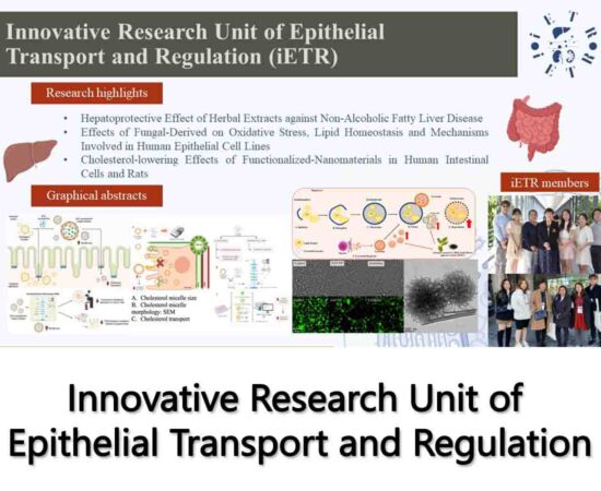 2-Innovative Research Unit of Epithelial Transport and Regulation
