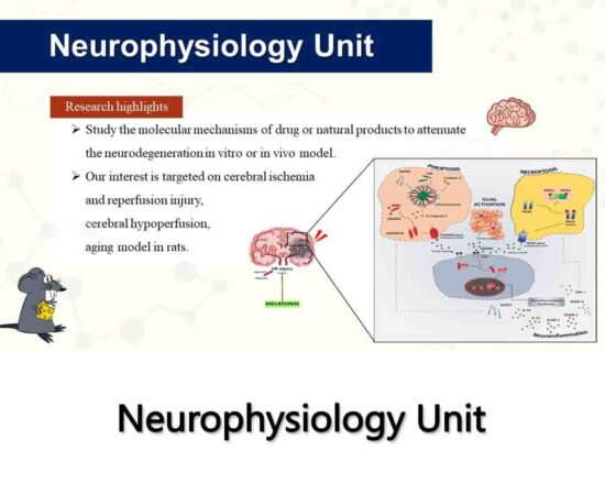 3-Neurophysiology Unit