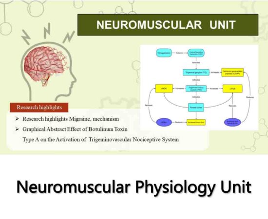 6-Neuromuscular Physiology Unit
