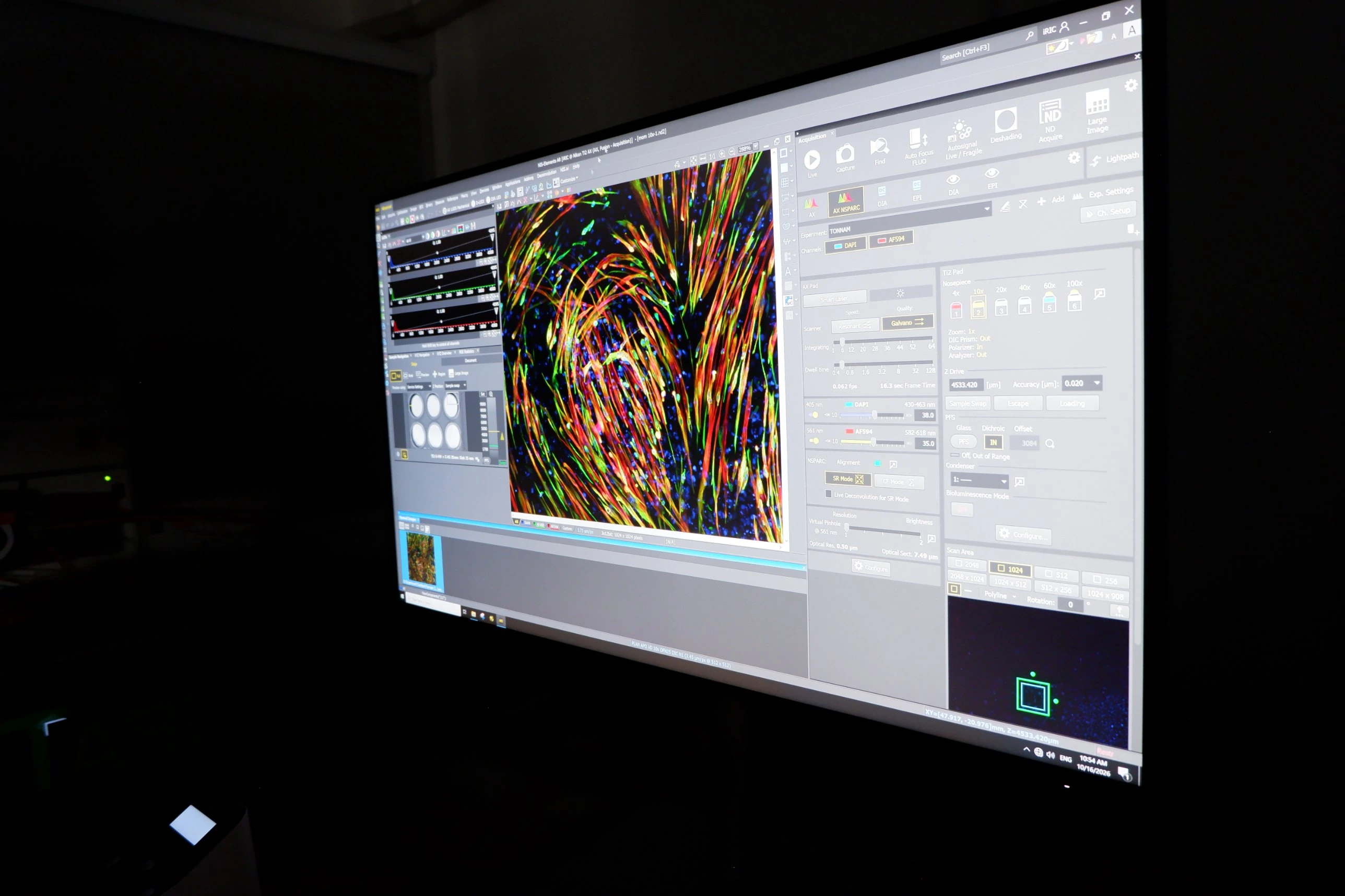 ภาพเซลล์จากกล้อง confocal บนหน้าจอ