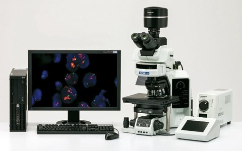 กล้องจุลทรรศน์ Olympus BX53 พร้อมชุดถ่ายภาพและคอมพิวเตอร์