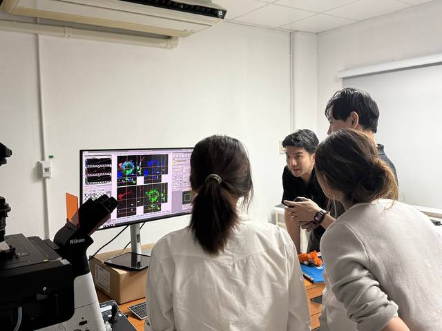 การอธิบายภาพ confocal หน้าจอ